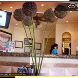 COREI Dental