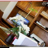 COREI Dental